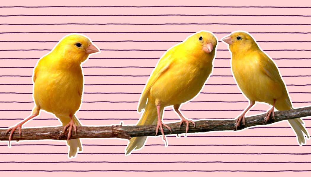 Is it ever okay to cheat on a partner?