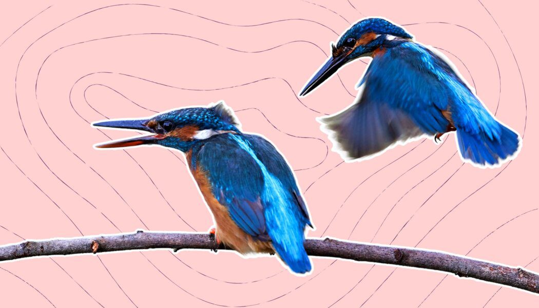 My friend detransitioned and has started to become transphobic. What should I do?