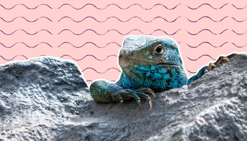 I’m asexual but I want to have sex at least once. How should I go about it?