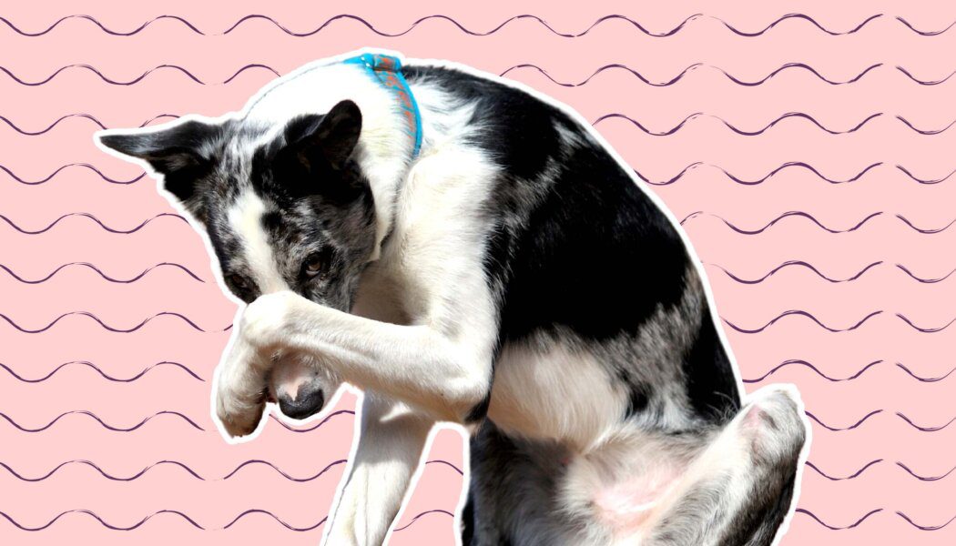 I’ve met someone amazing, but I can’t stand the way he smells. How do I talk to him about it? 