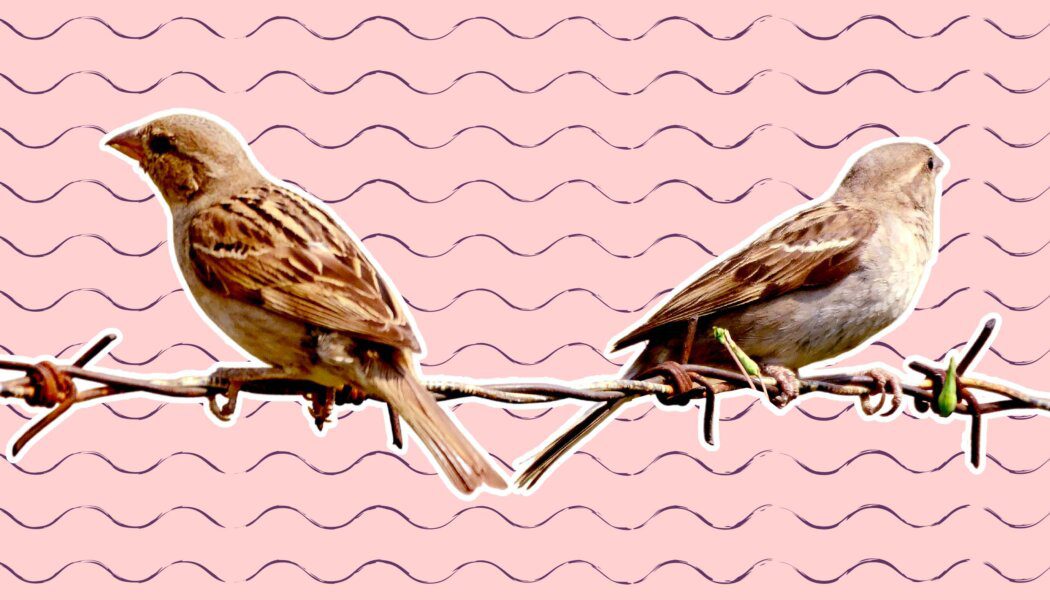 How can I get closure without accountability?