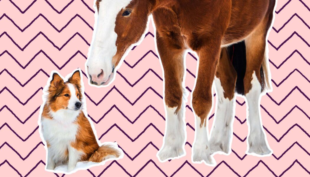 My new date is not as political as I am. Is our relationship destined to fail?