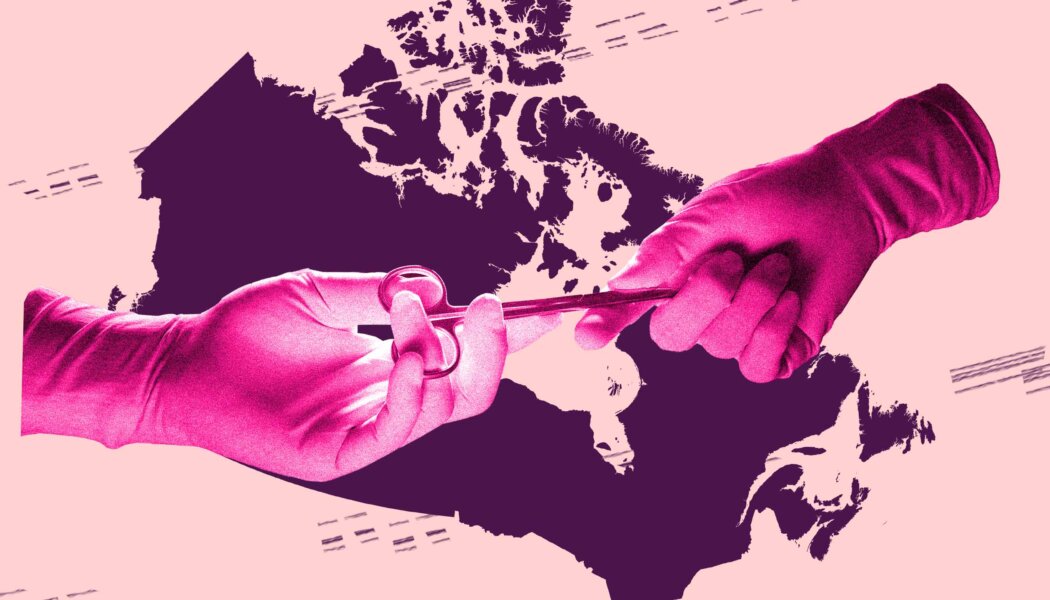 Wait times for bottom surgery in Canada can be as long as eight years. The impact on individuals can be deadly