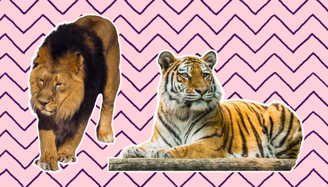 When is it okay to ask someone with less privilege than you to cut you some slack?