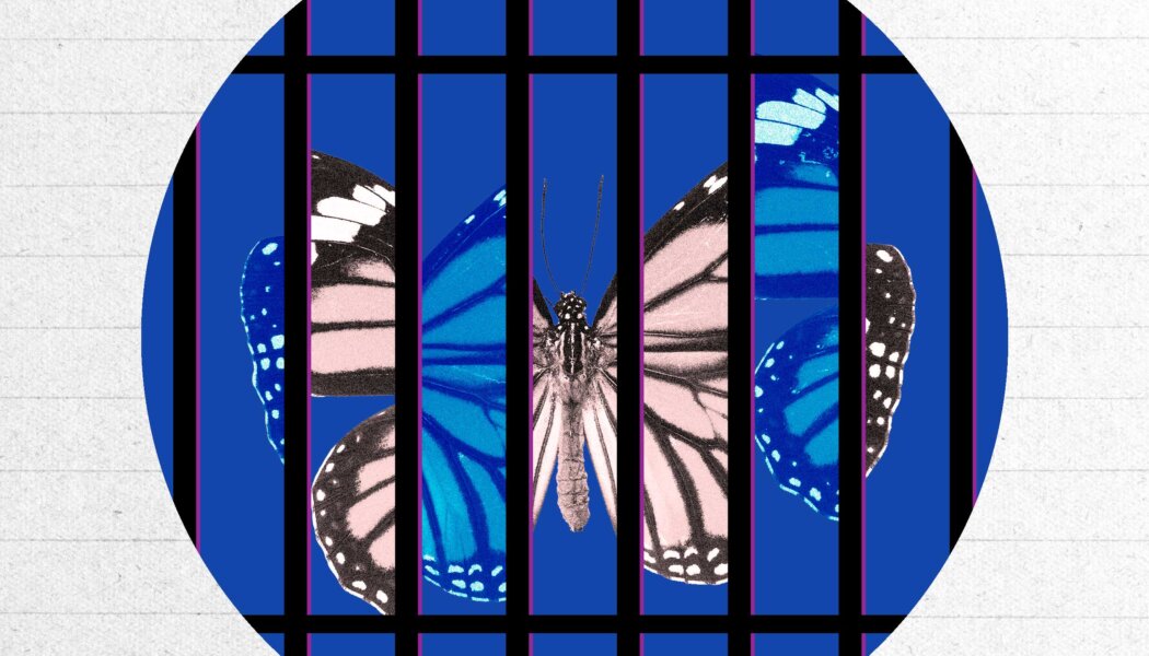 The hidden lives and uncertain future of trans prisoners