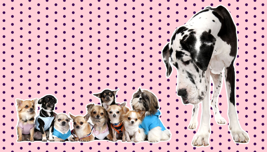 I want to help queer youth—but I’m afraid of being labelled a “groomer”