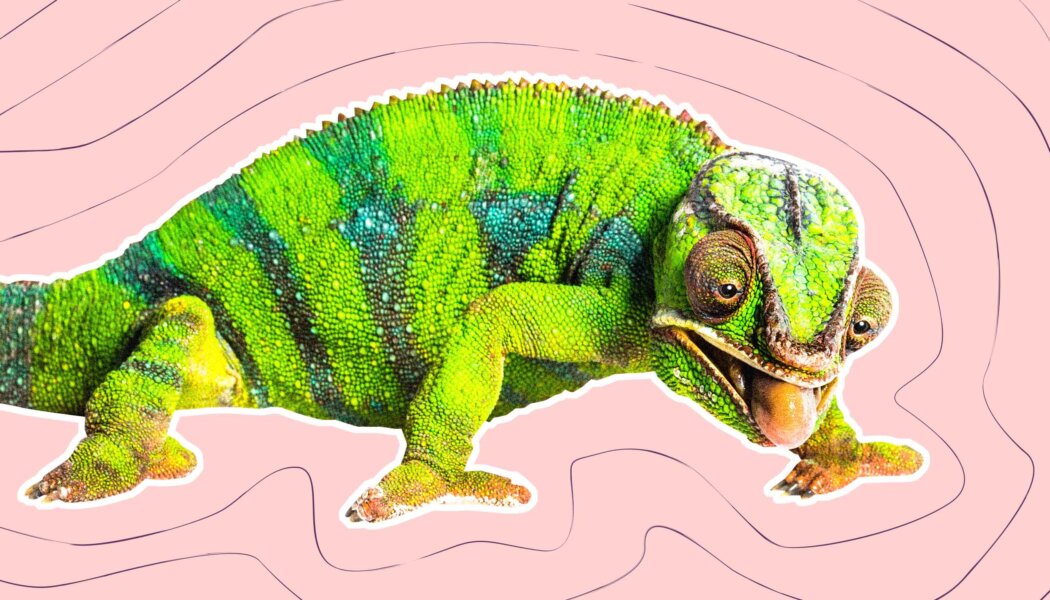 Should I start dating someone who is asexual even though I want to lose my virginity?