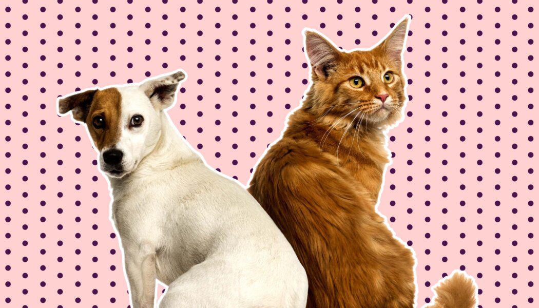 How can I decolonize my desire?