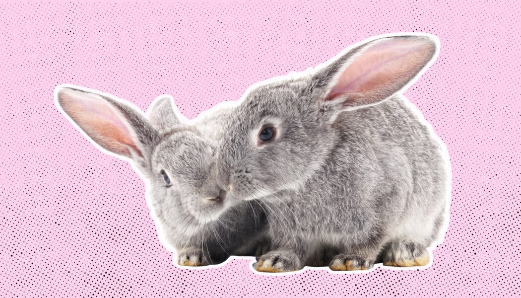 I love my boyfriend, but he’s the only guy I’ve slept with. Can I have a ‘slutty phase’ without destroying our relationship?