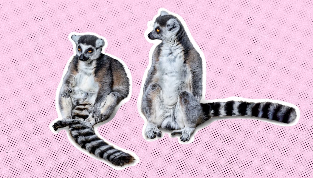 I think I’m asexual but I’m into kinky porn, which my friends say is problematic. Am I a bad person?