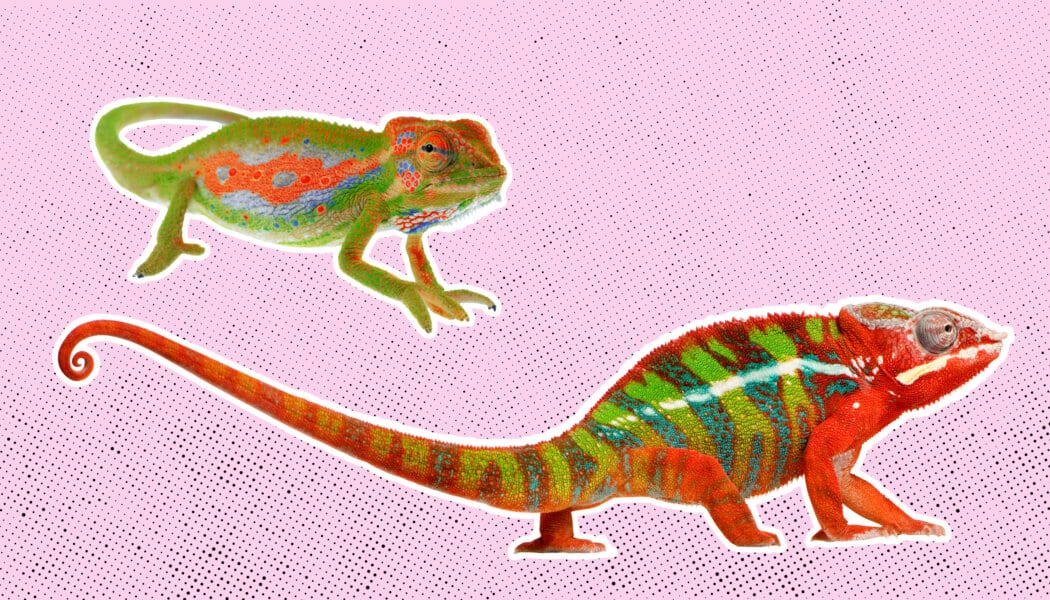 I think my straight friend might actually be gay. Should I encourage him to come out?