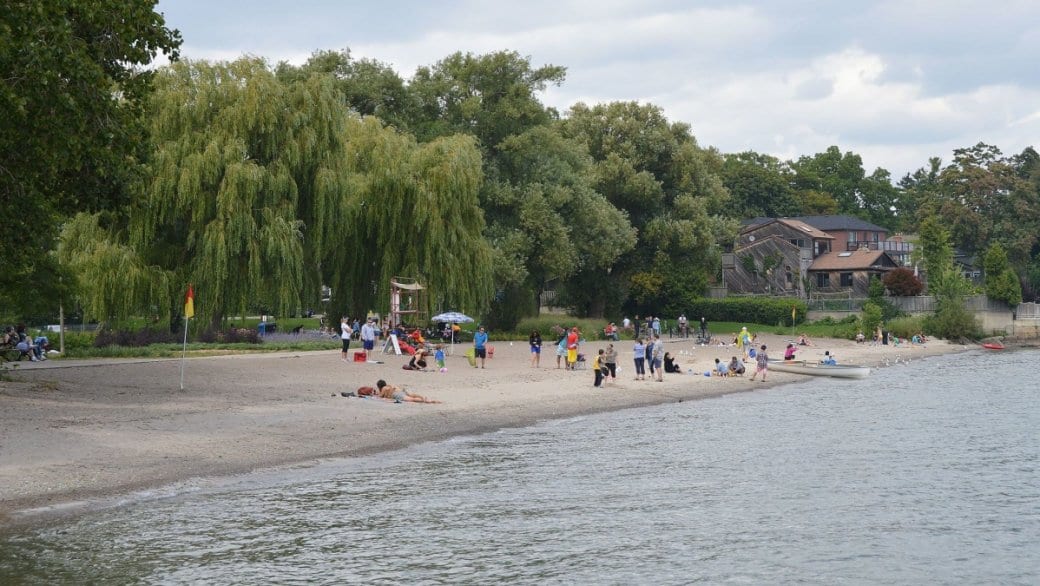 Toronto police charge dozens of men with sexual offences in Etobicoke park